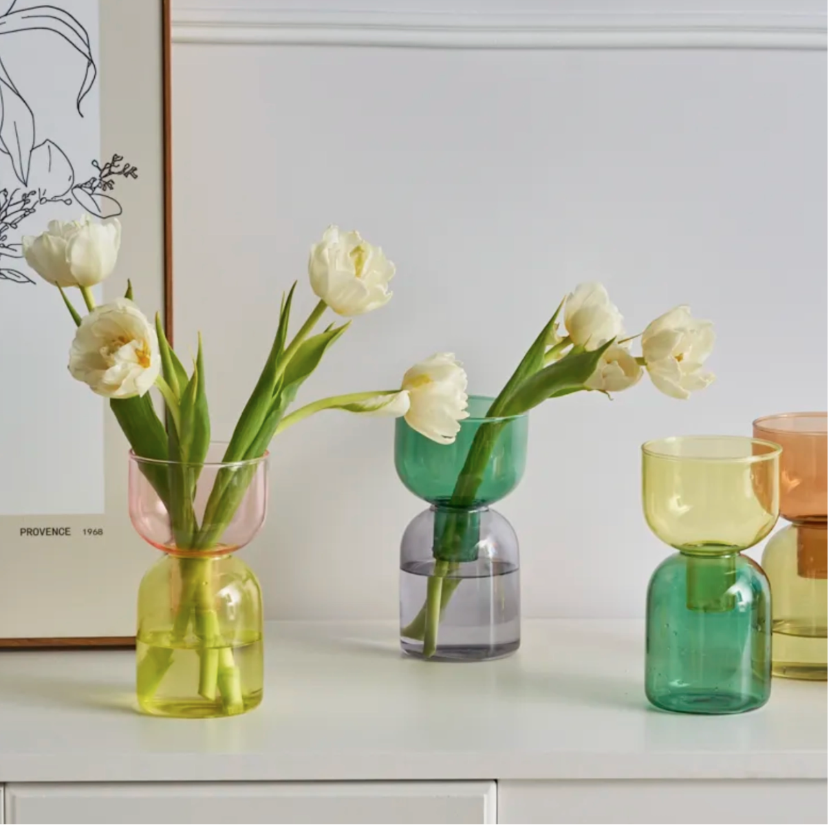 Terrarium hydroponic vase