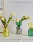 Terrarium hydroponic vase