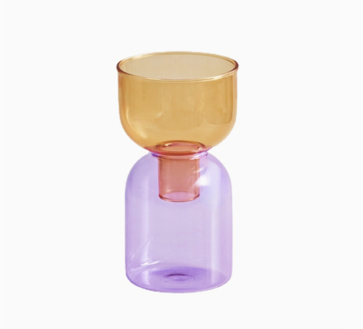 Terrarium hydroponic vase