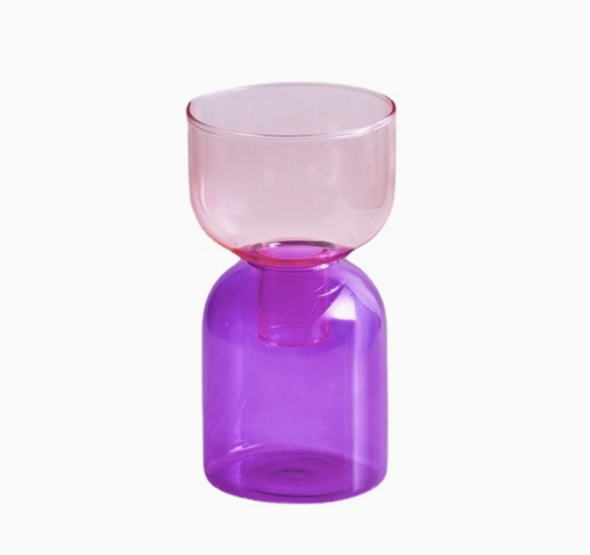 Terrarium hydroponic vase