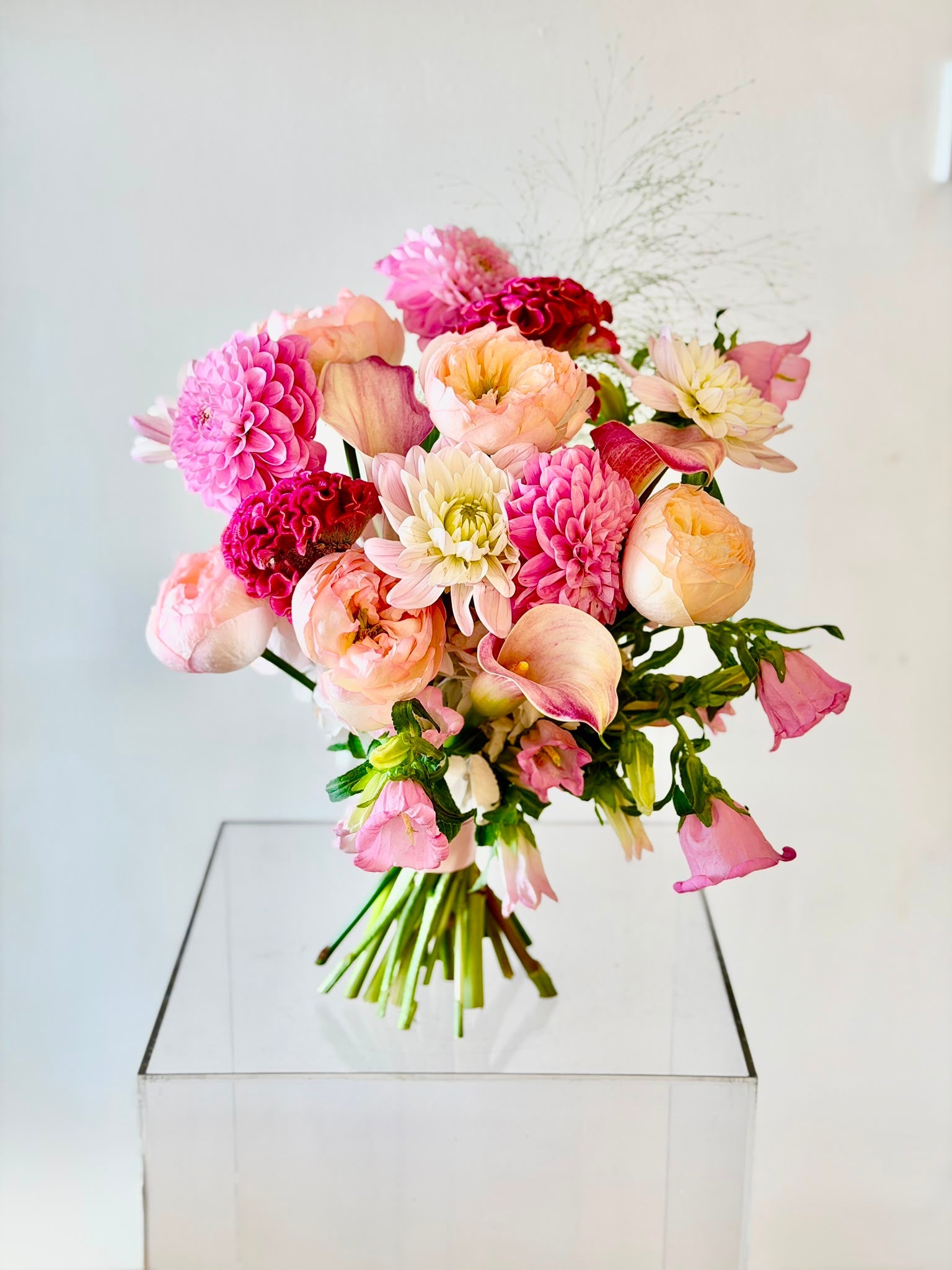 Pinks