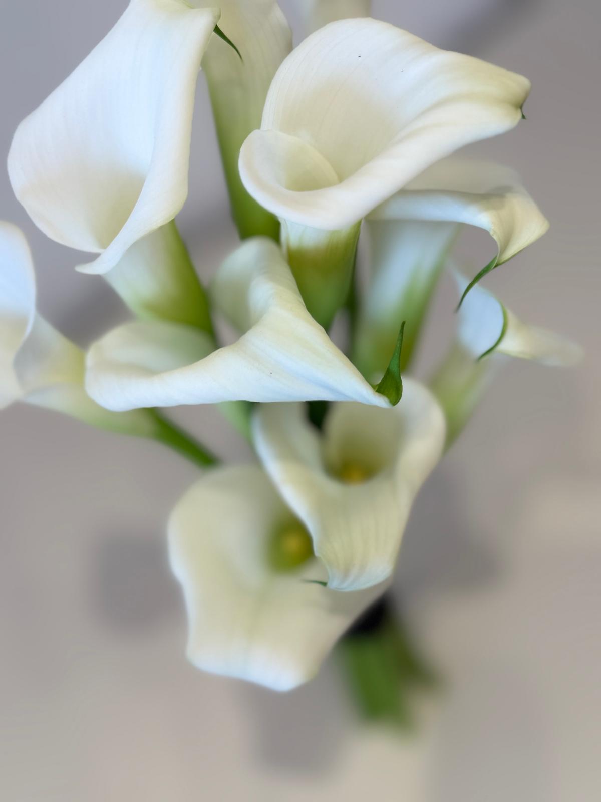 Calla Lily Bridesmaid Bouquet