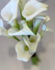 Calla Lily Bridesmaid Bouquet