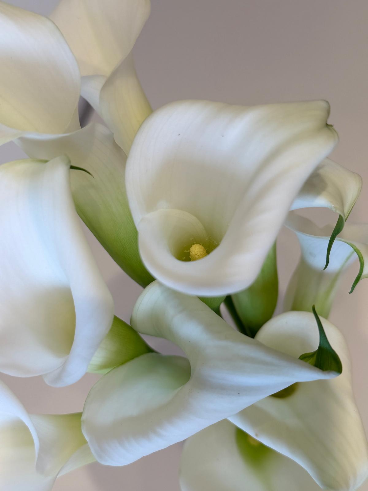 Calla Lily Bridal Bouquet