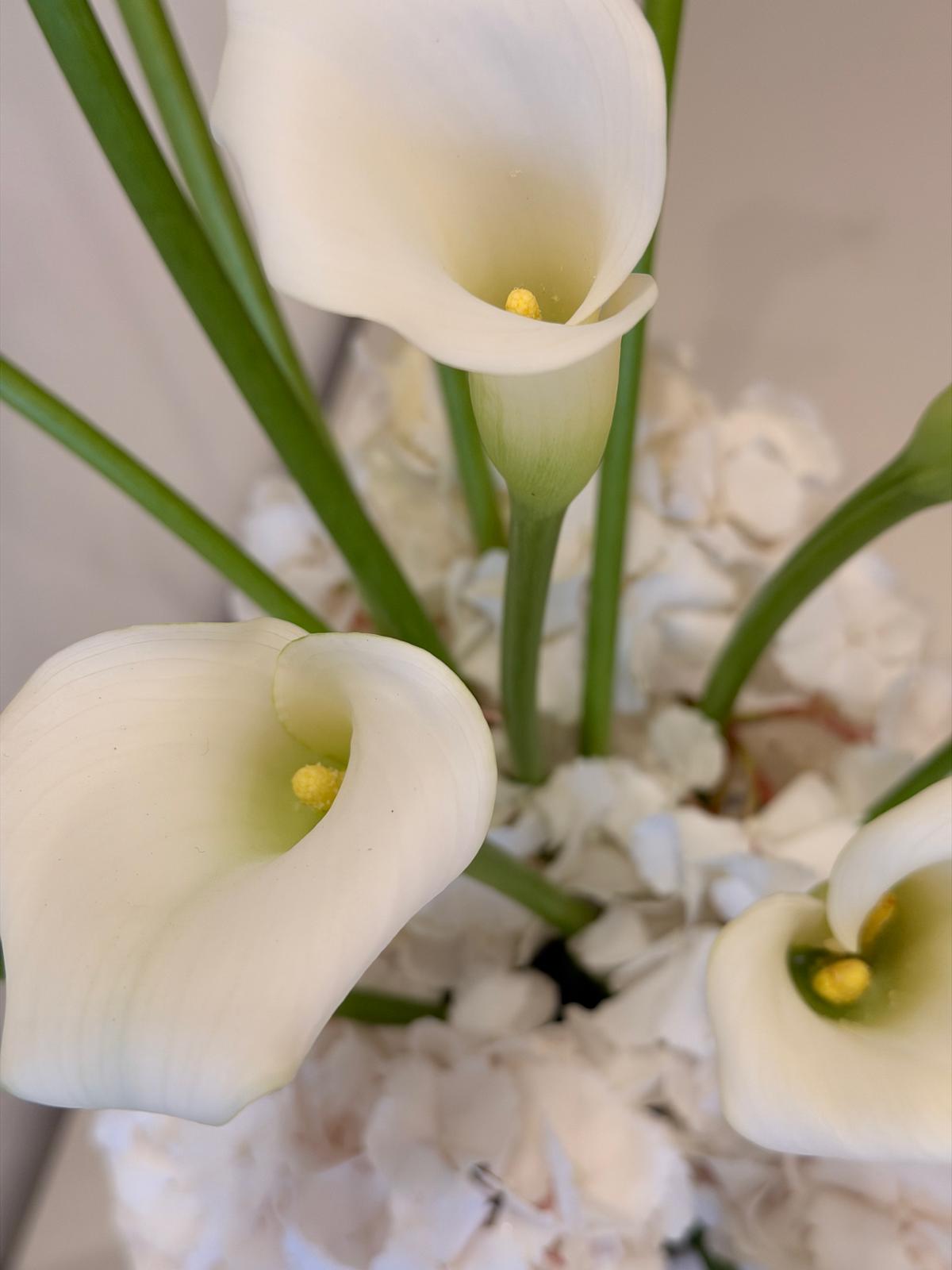 Calla Large Bowl Arrangement
