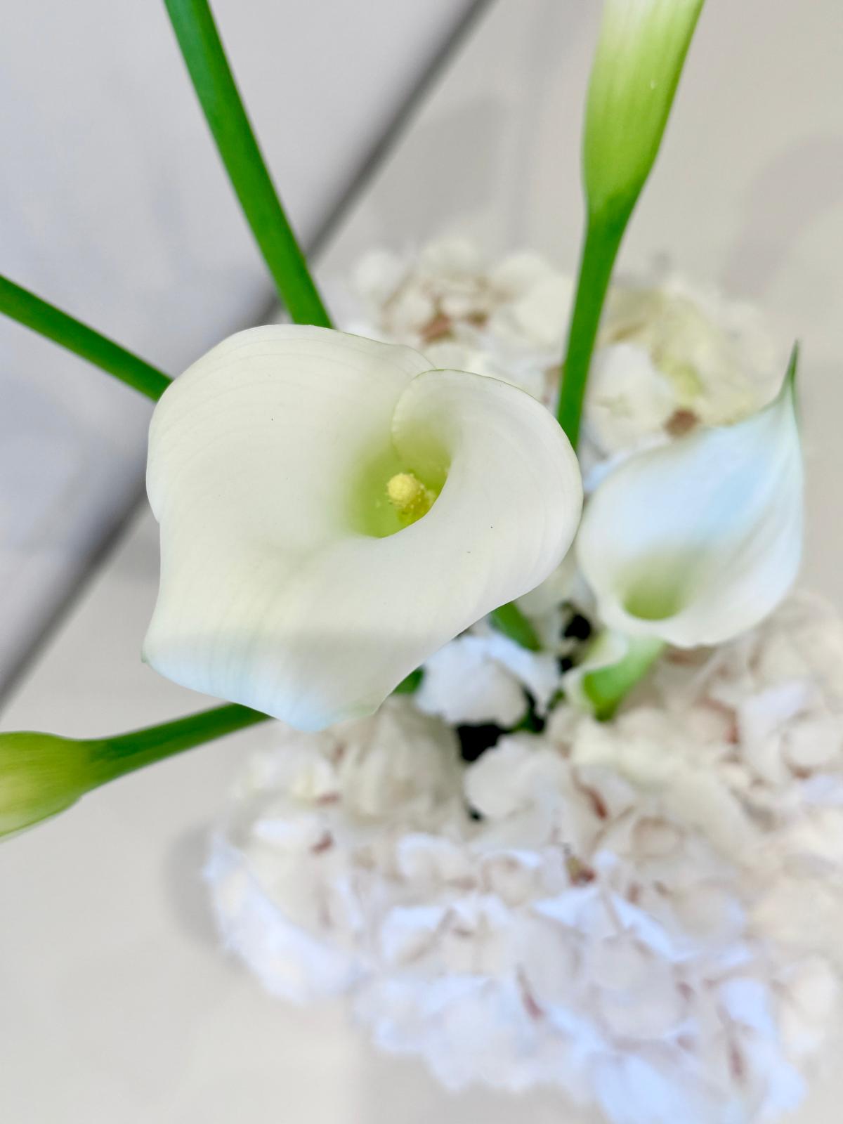 Calla Small Bowl Arrangement